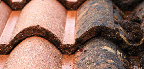 Nettoyage de toiture